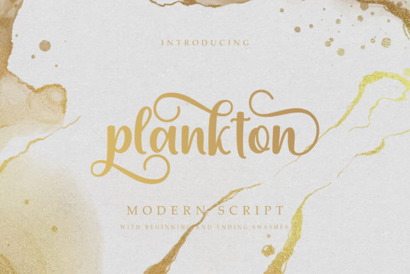 Elevate Your Designs with the Plankton Script Font