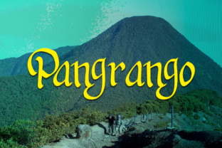 Pangrango: Nature-Inspired Typography for Modern Design