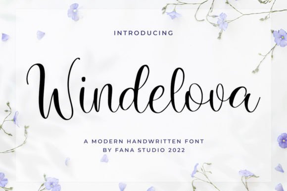 Windelova: Elevate Your Visual Identity